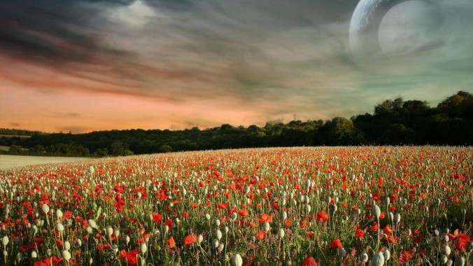 cloudflare的1.1.1.1和warp有什么区别？